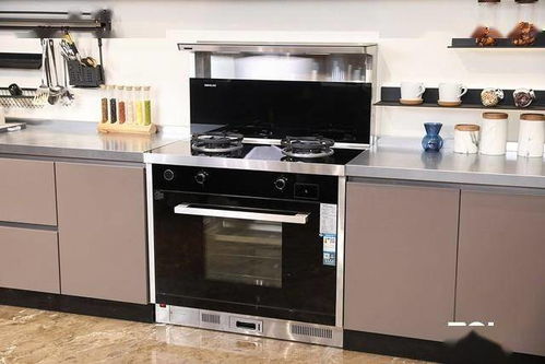 廚電智能新形態(tài) 森歌d3zk天貓精靈款集成灶評測